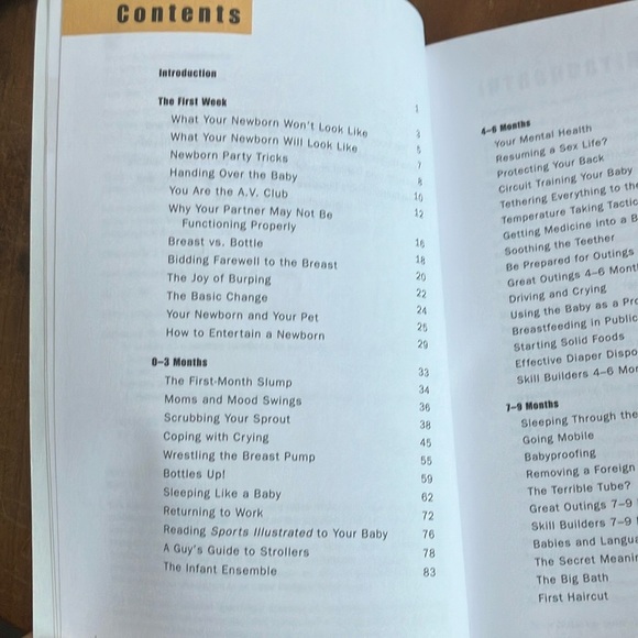 Book: Be Prepared: A Practical Handbook for New Dads by Gary Greenberg & Jeannie - Picture 3 of 9